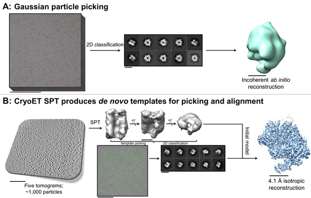 Figures And Data In Routine Single Particle CryoEM Sample And Grid ...