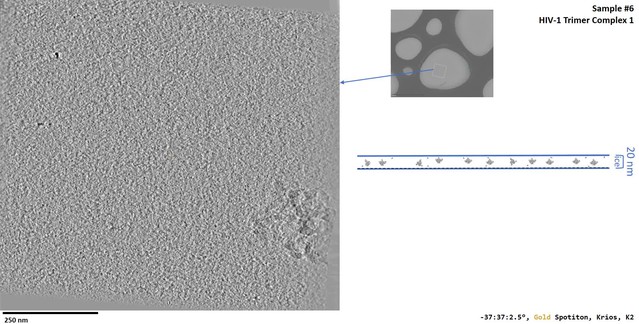 Figures And Data In Routine Single Particle CryoEM Sample And Grid ...