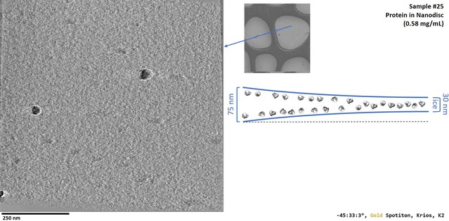 Routine single particle CryoEM sample and grid characterization by