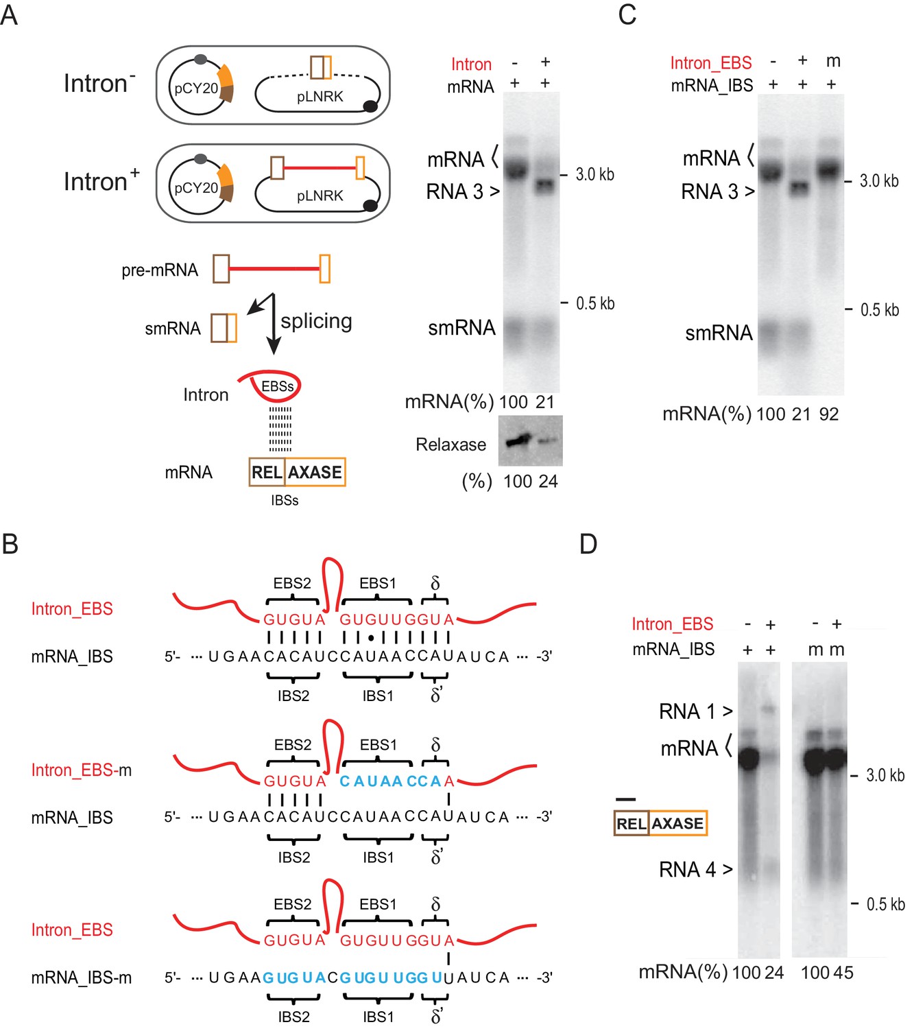 Figures And Data In Group Ii Intron Inhibits Conjugative Relaxase