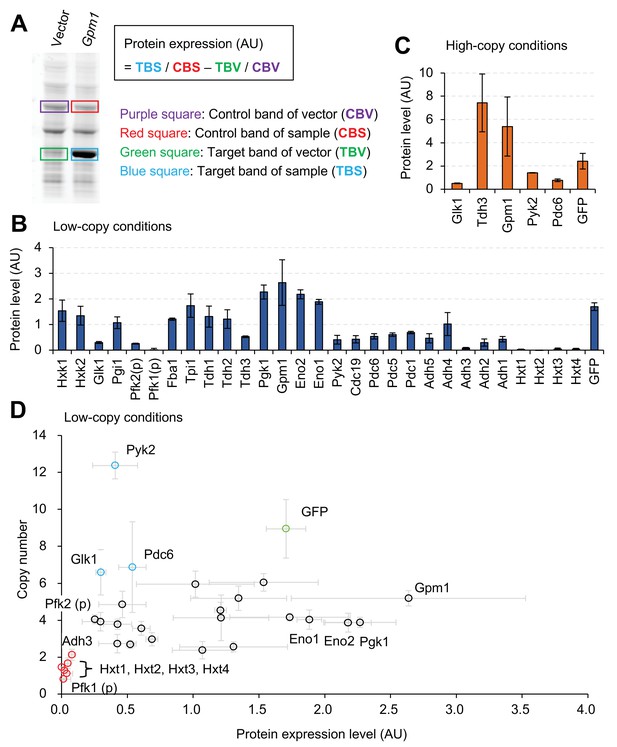 Figures And Data In Estimating The Protein Burden Limit Of Yeast Cells ...