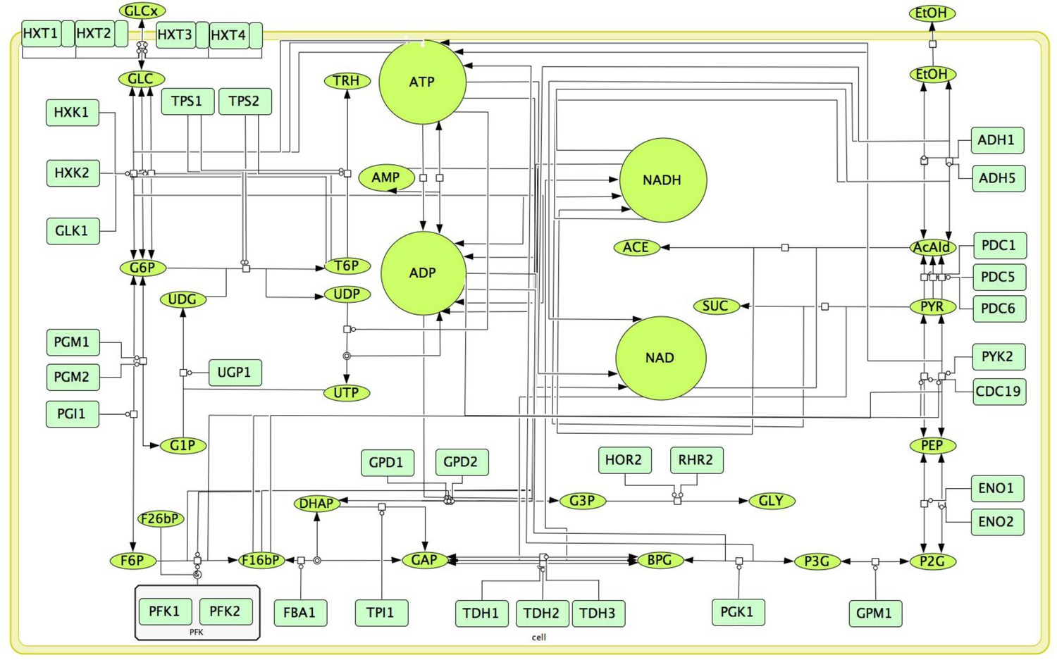 Figures And Data In Estimating The Protein Burden Limit Of Yeast Cells ...