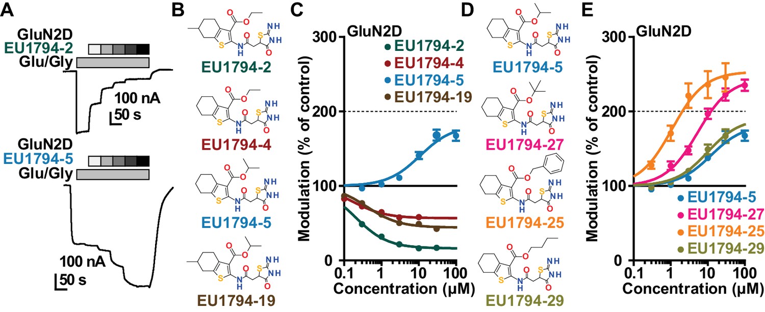 Figures And Data In An NMDAR Positive And Negative Allosteric Modulator