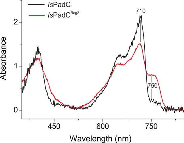 Figures And Data In Asymmetric Activation Mechanism Of A Homodimeric ...