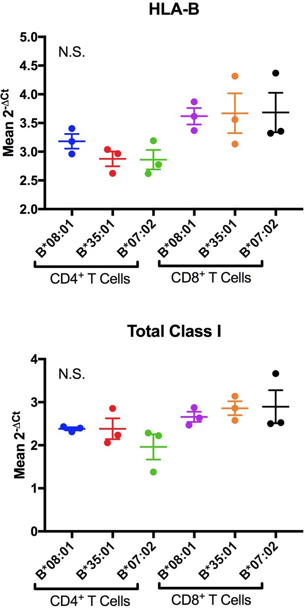 Figures And Data In Variations In Hla B Cell Surface Expression Half Life And Extracellular