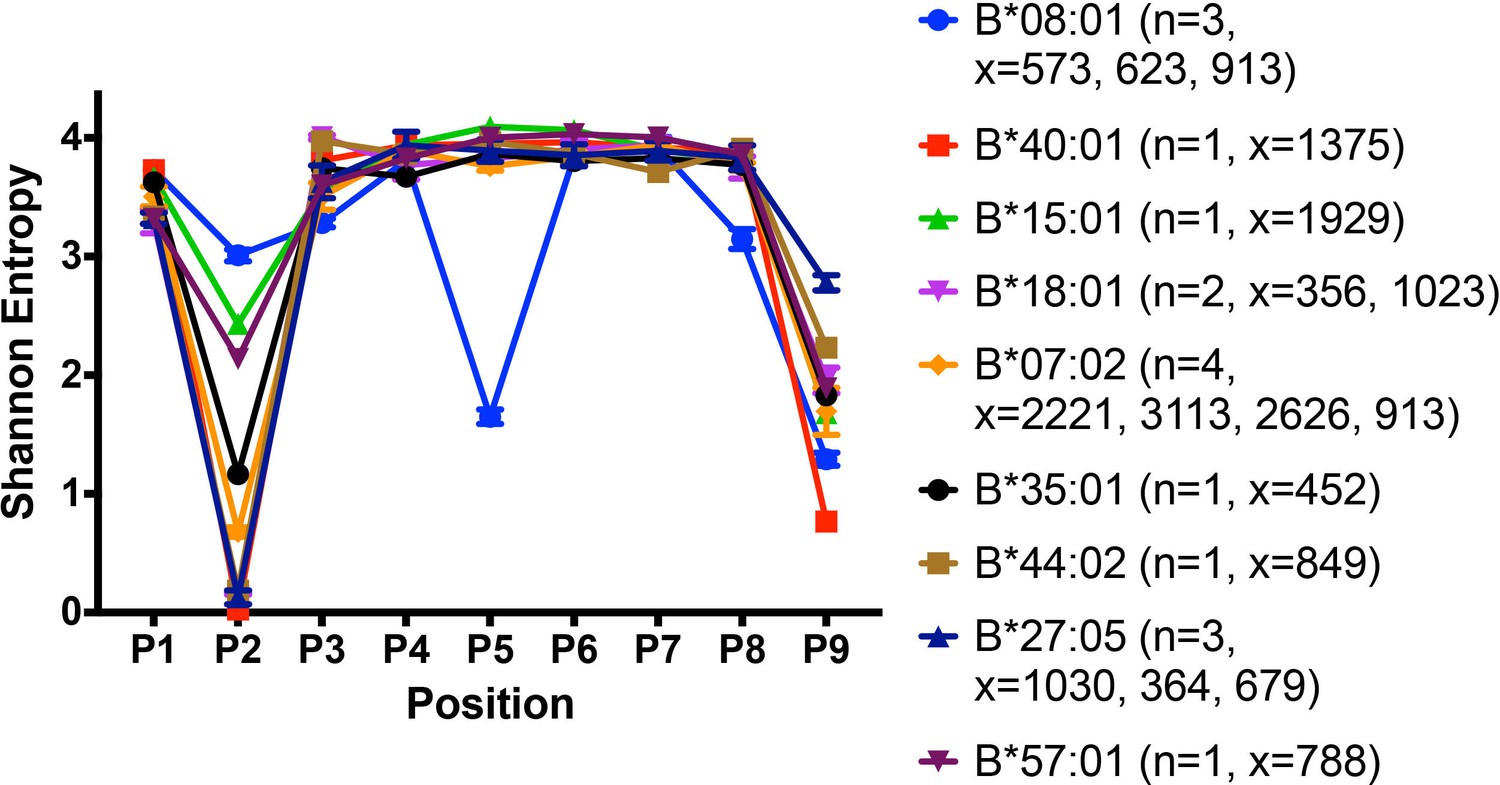 Variations In HLA-B Cell Surface Expression, Half-life And ...