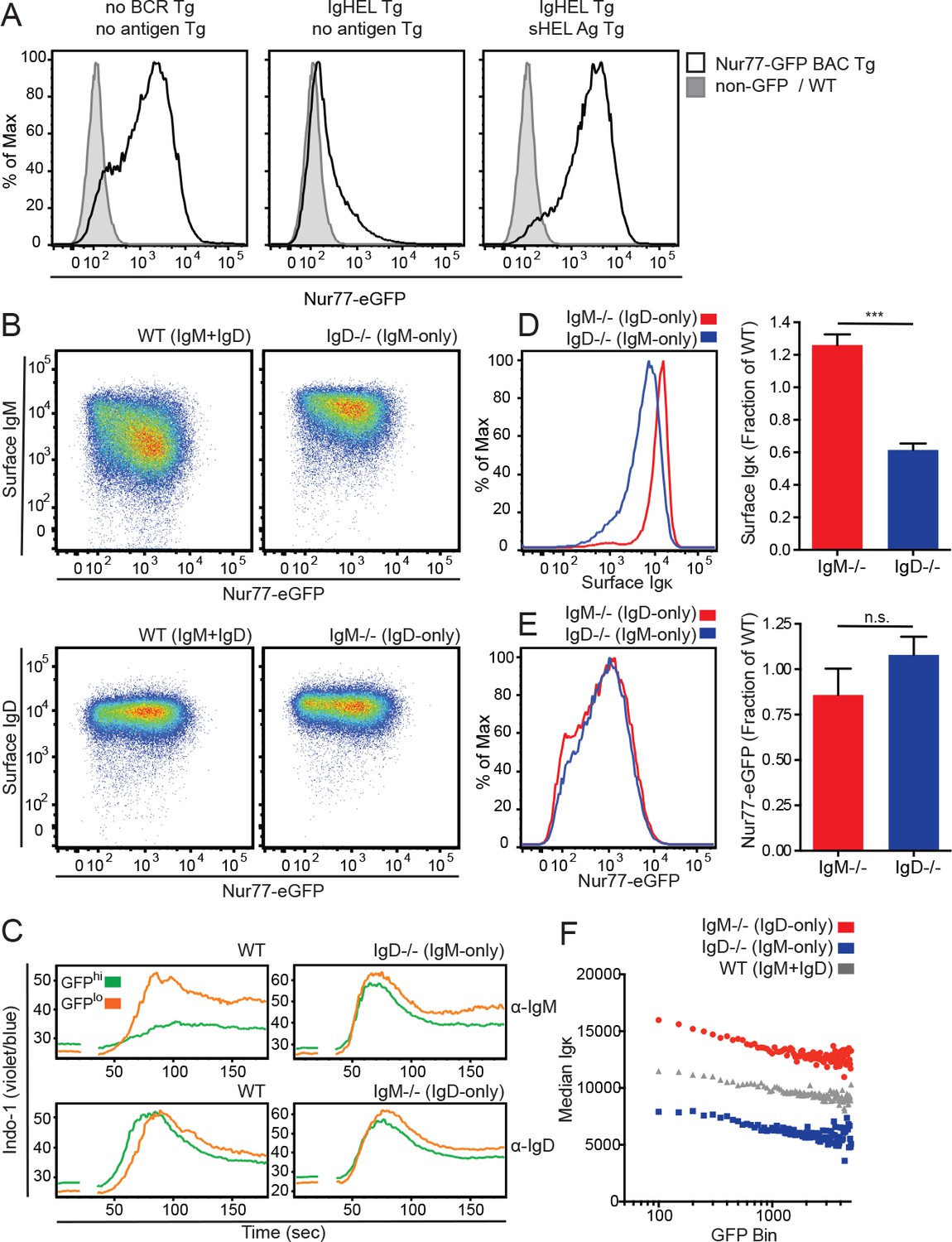 Figures And Data In IgM And IgD B Cell Receptors Differentially Respond ...