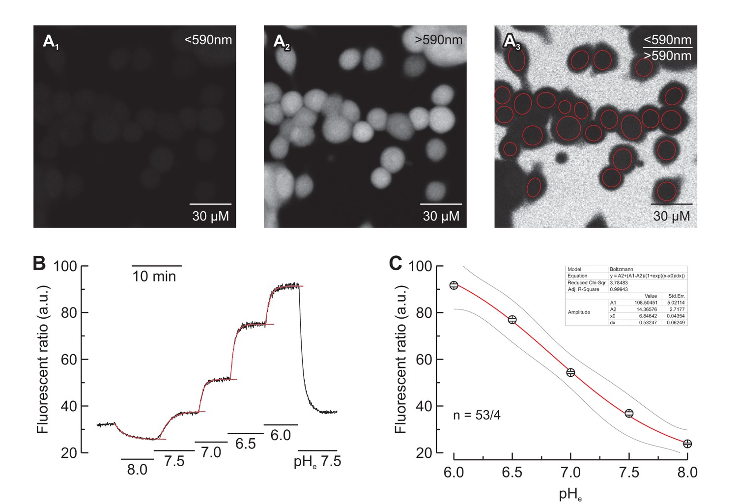 Figures and data in A surface proton antenna in carbonic anhydrase II ...