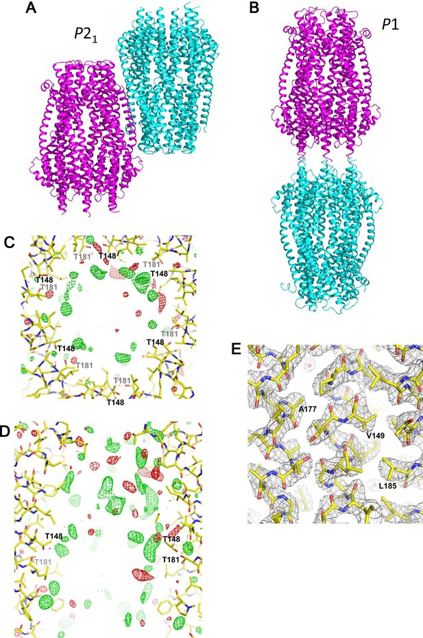 Figures And Data In Hexameric And Pentameric Complexes Of The Exbbd Energizer In The Ton System