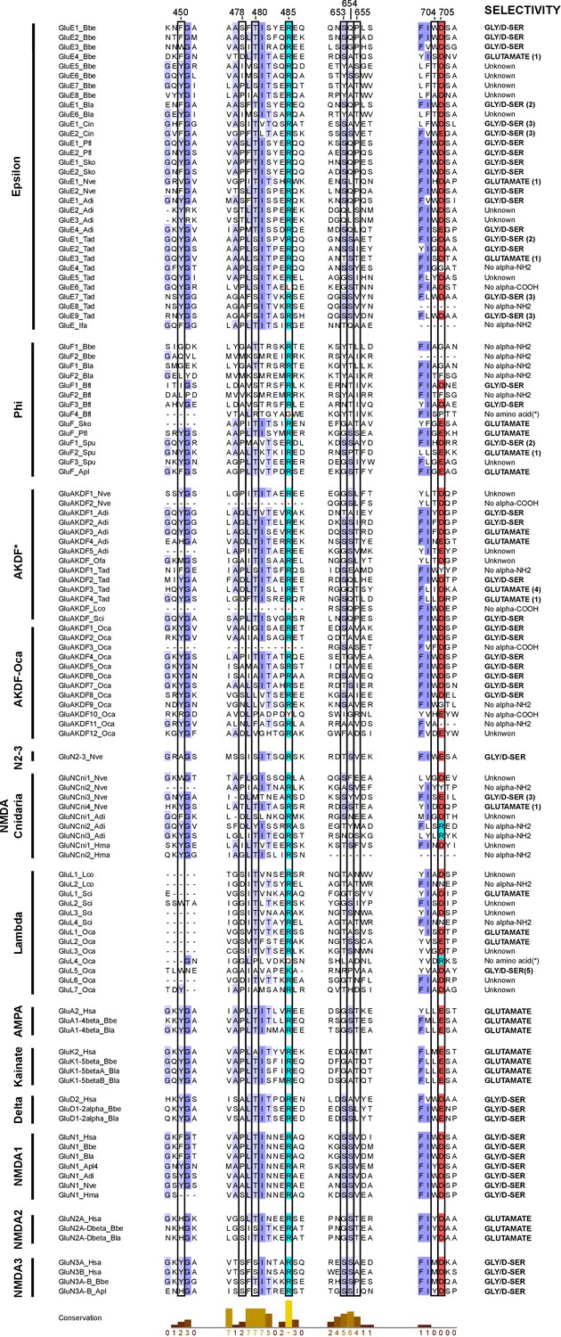 Figures And Data In Metazoan Evolution Of Glutamate Receptors Reveals 