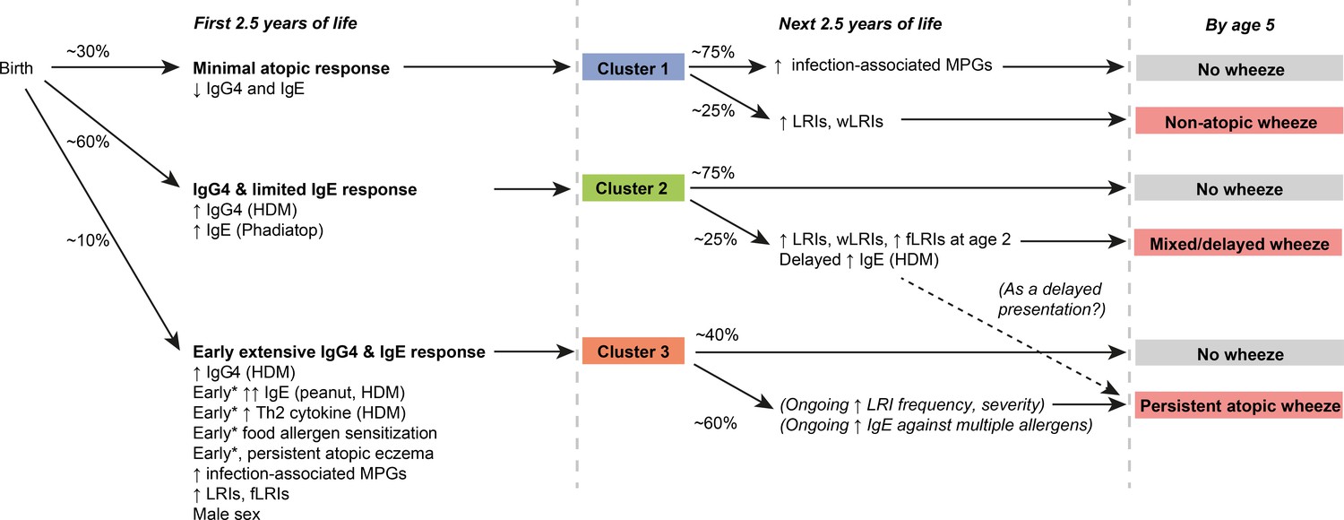 Trajectories of childhood immune development and respiratory health ...