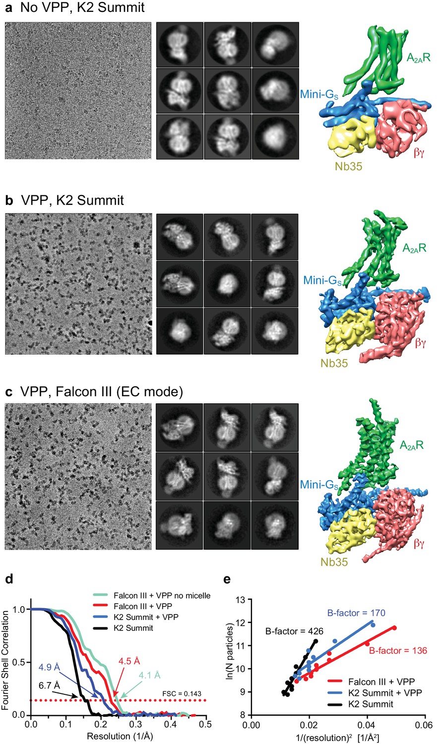 Cryo Em Structure Of The Adenosine a Receptor Coupled To An Engineered Heterotrimeric G Protein Elife