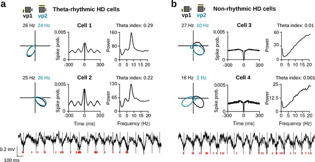 Non-rhythmic head-direction cells in the parahippocampal region are not ...