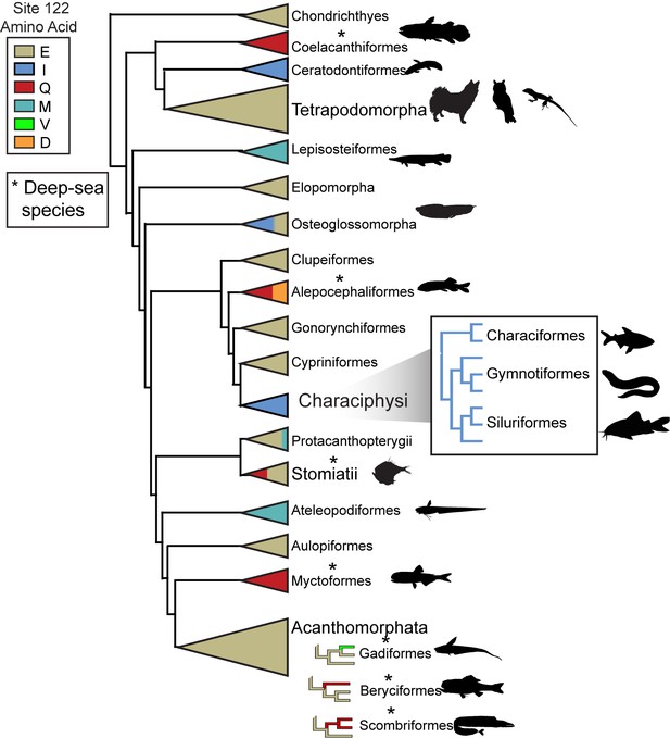 Figures and data in Functional trade-offs and environmental variation ...