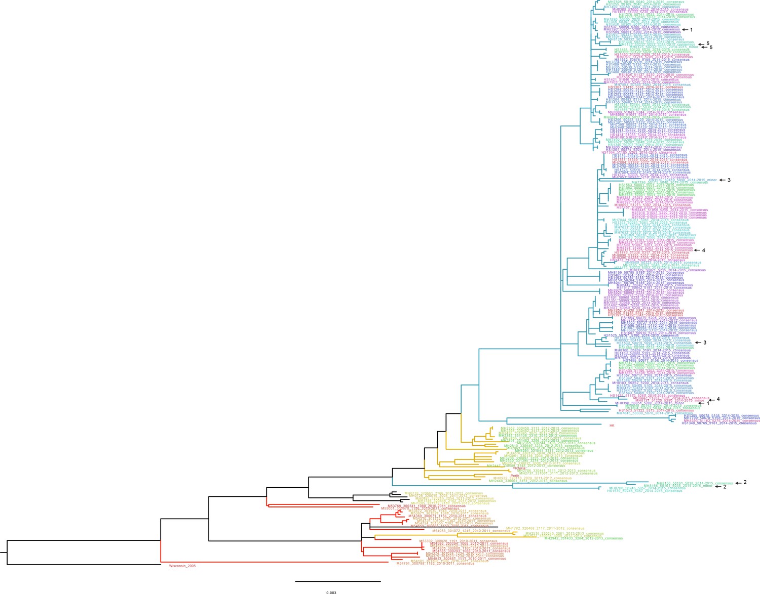 Figures And Data In Stochastic Processes Constrain The Within And Between Host Evolution Of