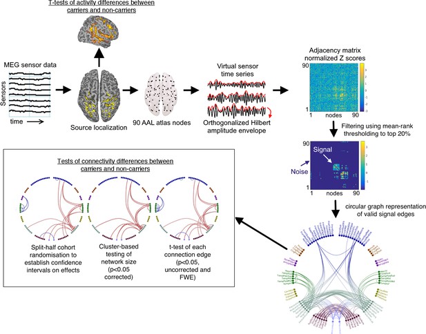 Figures and data in Oscillatory hyperactivity and hyperconnectivity in ...