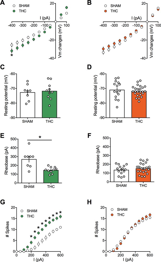 Sex Dependent Effects Of In Utero Cannabinoid Exposure On Cortical