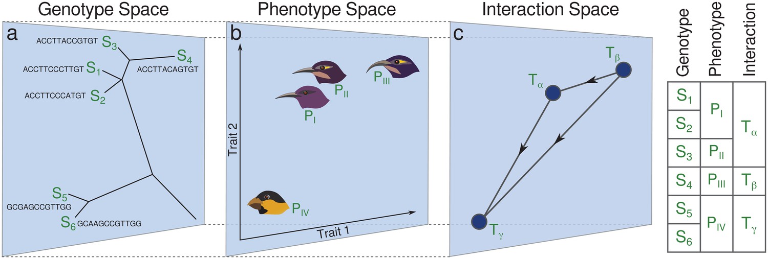 Trade-off Shapes Diversity In Eco-evolutionary Dynamics | ELife