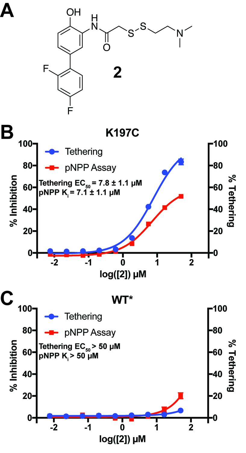 An Expanded Allosteric Network In PTP1B By Multitemperature ...