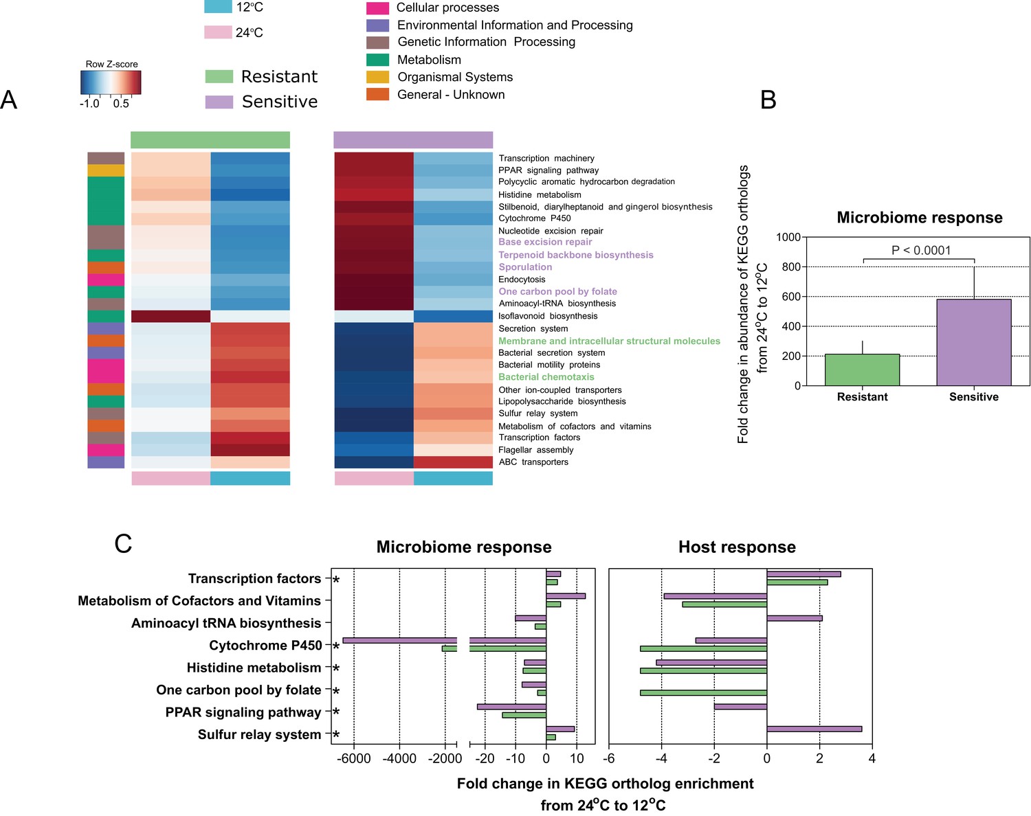 Host Genetic Selection For Cold Tolerance Shapes Microbiome Composition And Modulates Its Response To Temperature Elife