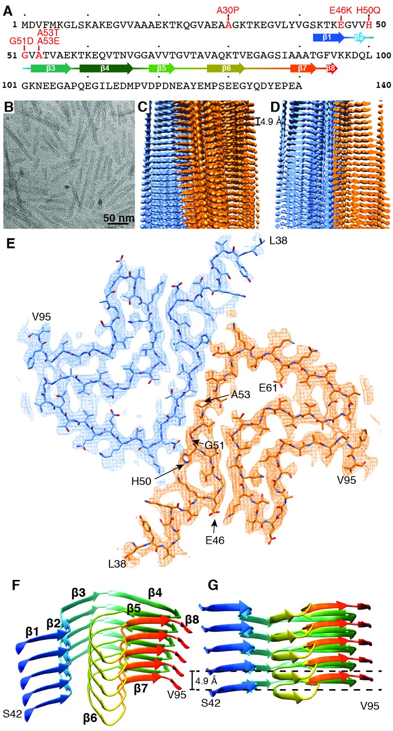 Cryo Em Structure Of Alpha Synuclein Fibrils Elife