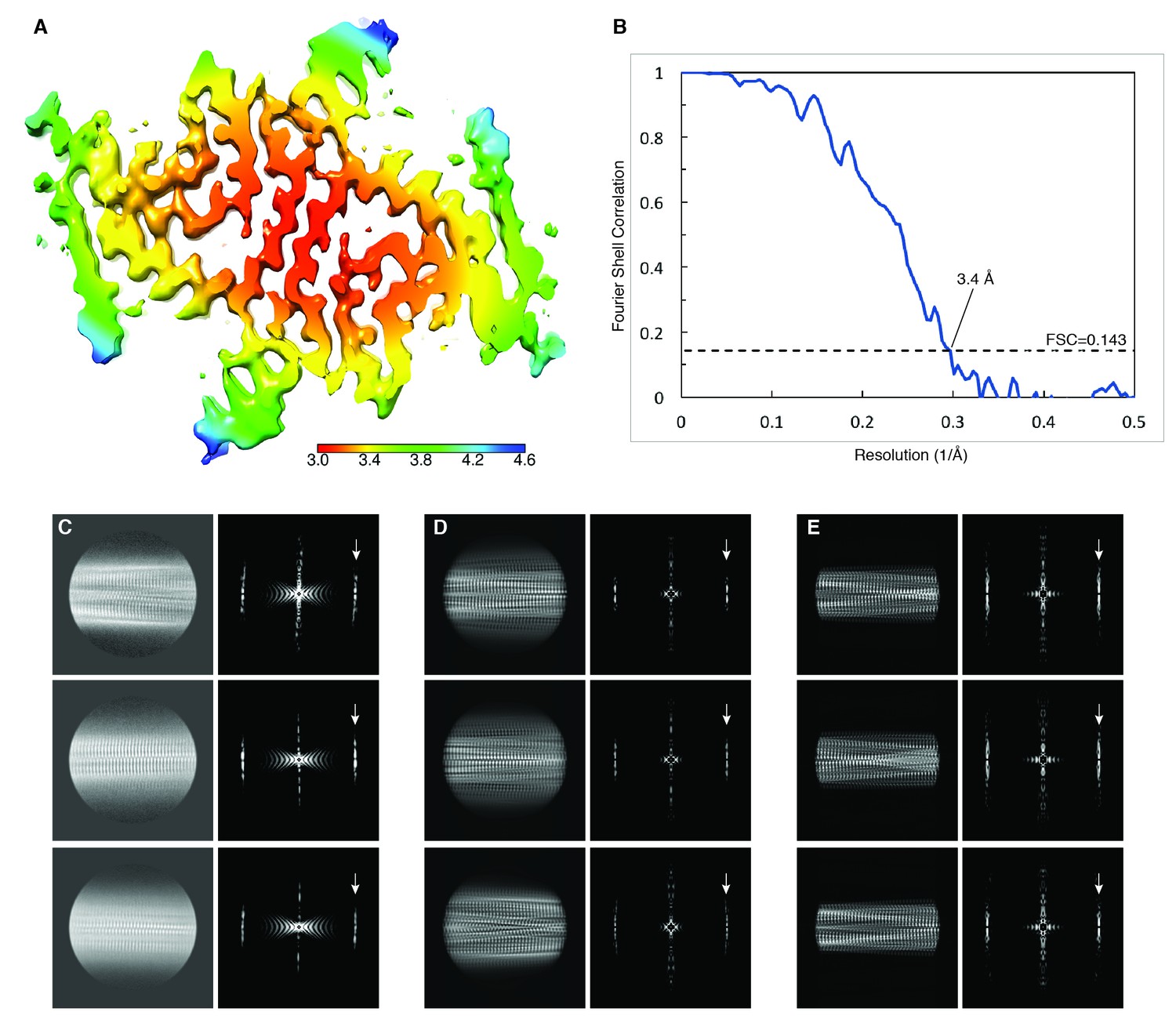 Figures And Data In Cryo Em Structure Of Alpha Synuclein Fibrils Elife