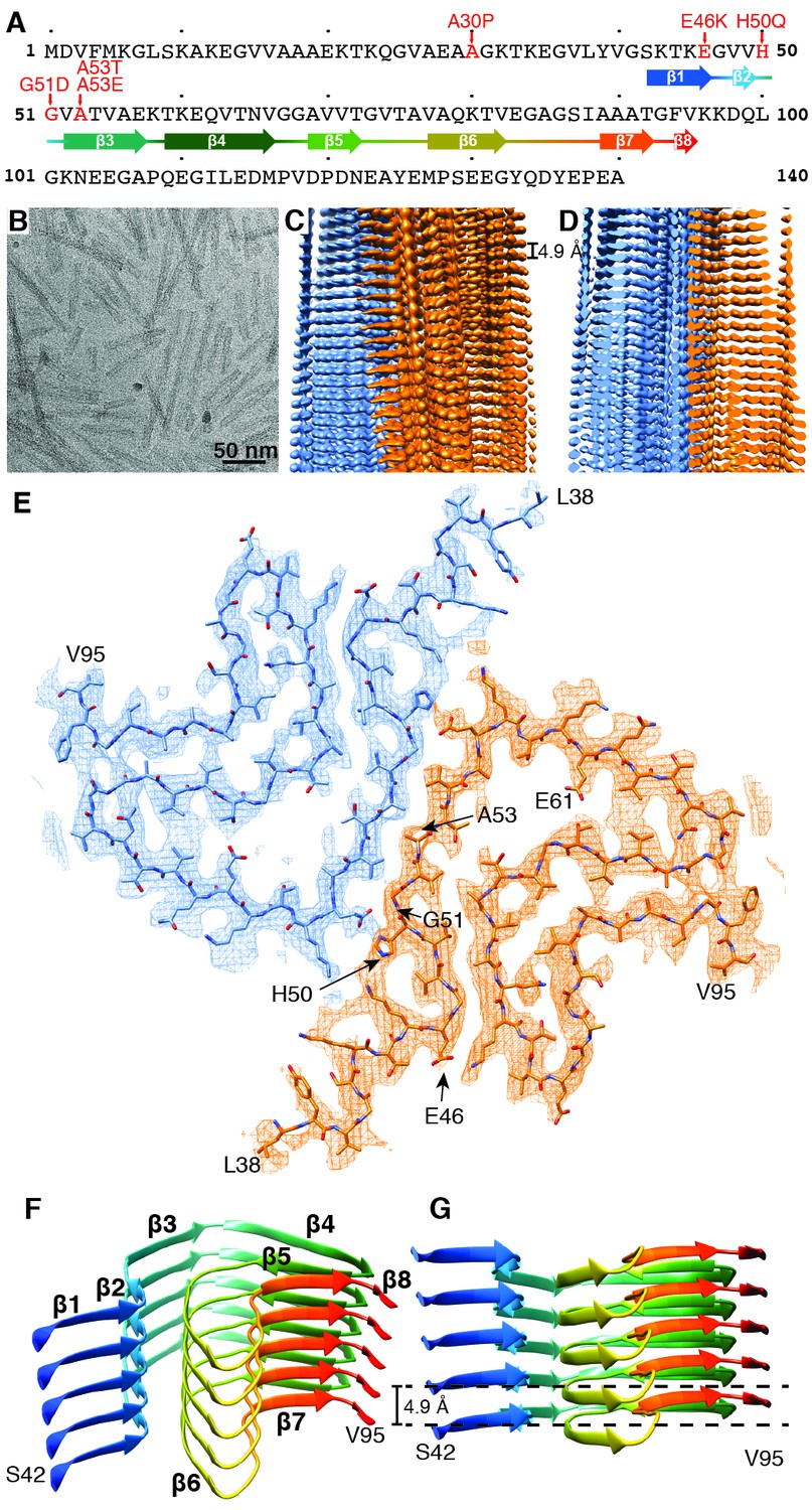 Figures And Data In Cryo Em Structure Of Alpha Synuclein Fibrils Elife