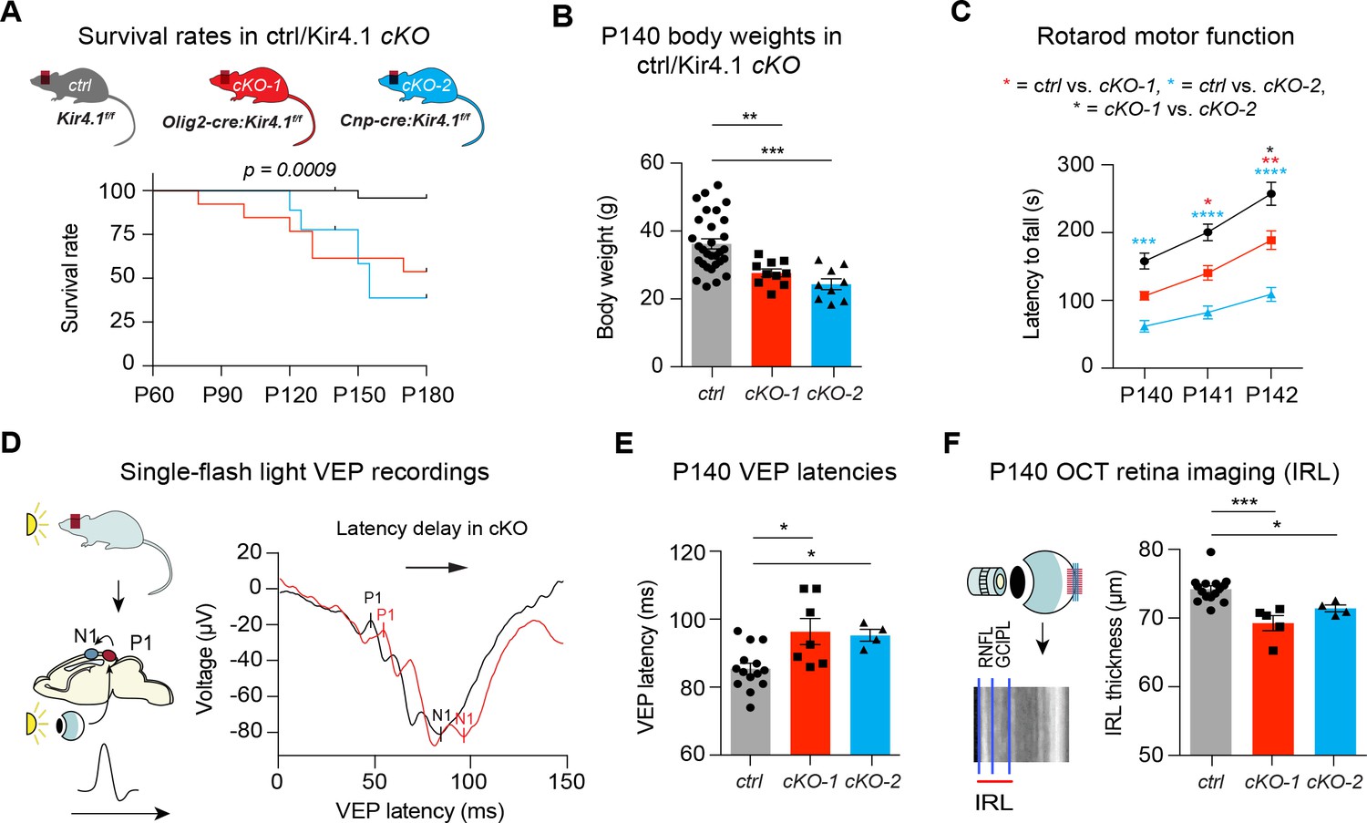 Oligodendrocyte-encoded Kir4.1 function is required for axonal 