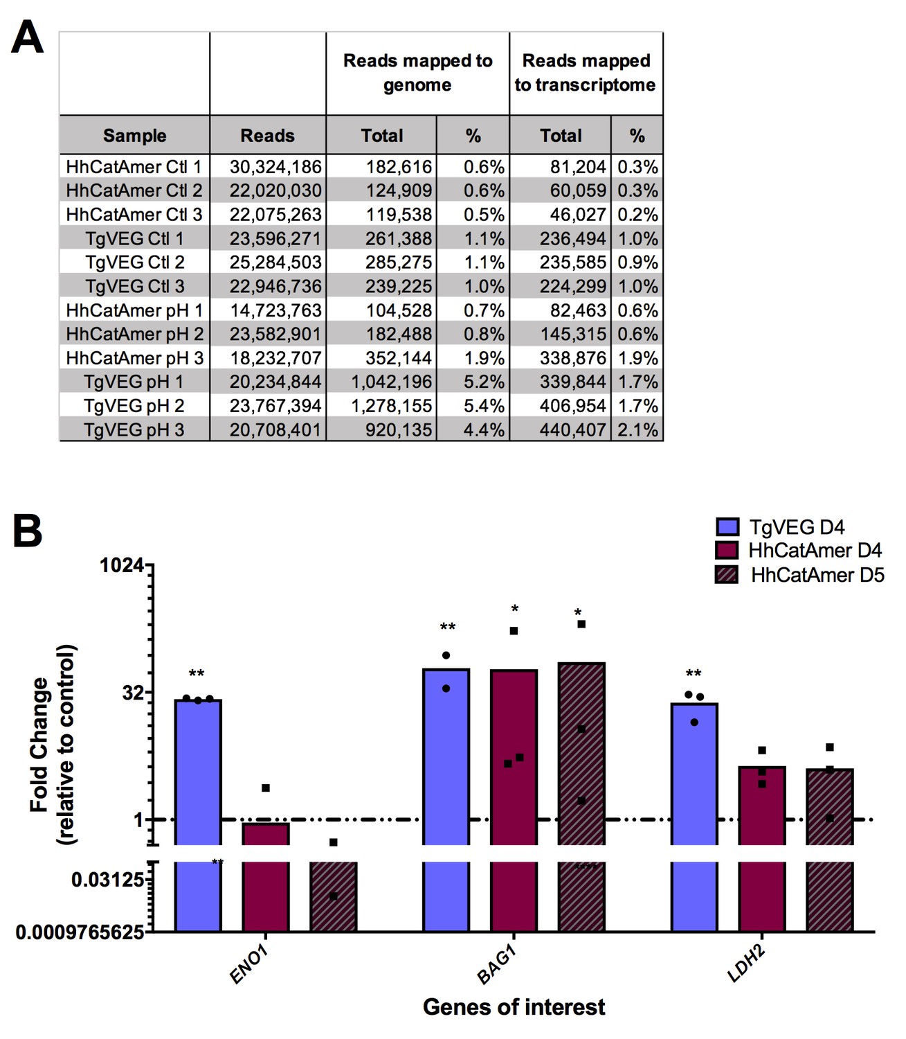 Dissection of the in vitro developmental program of