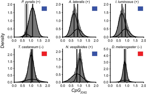 Firefly Genomes Illuminate Parallel Origins Of Bioluminescence In Beetles Elife