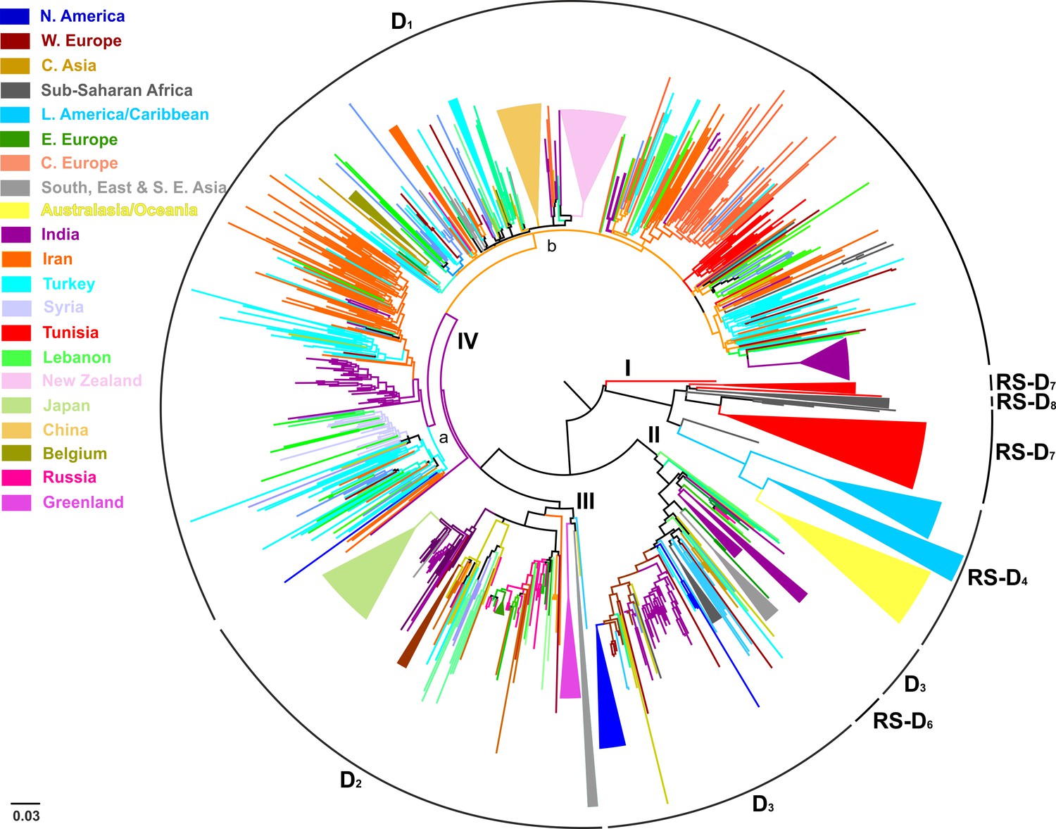 Unravelling The History Of Hepatitis B Virus Genotypes A And D Infection Using A Full Genome Phylogenetic And Phylogeographic Approach Elife