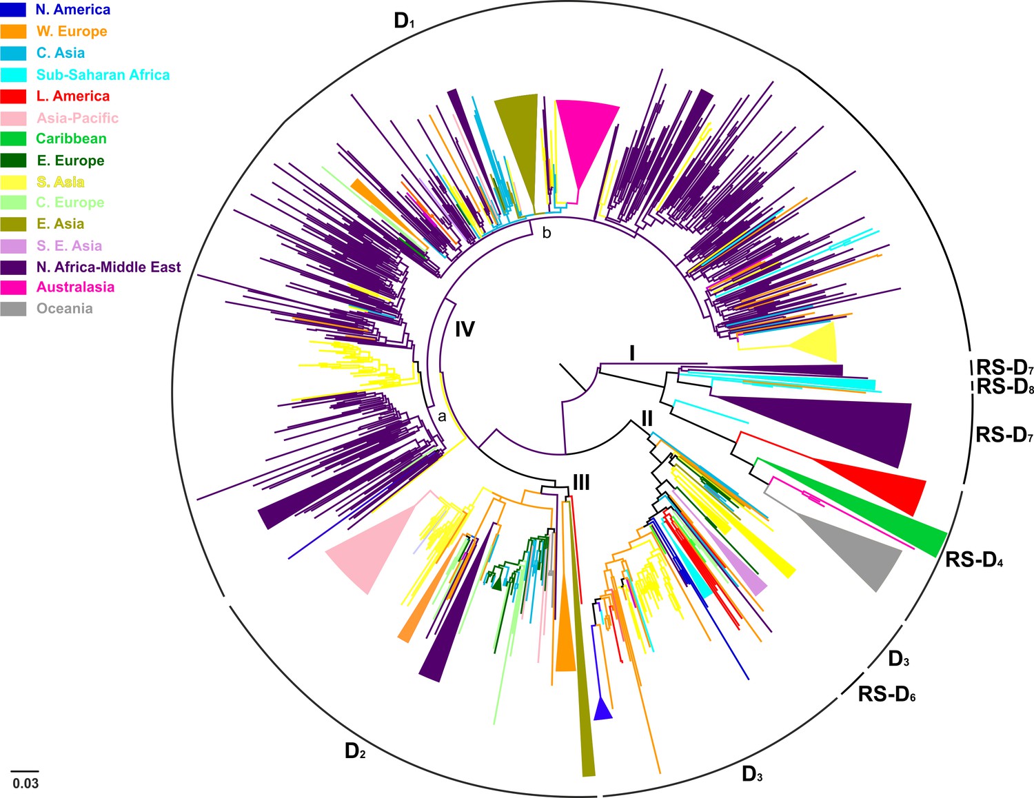 Unravelling The History Of Hepatitis B Virus Genotypes A And D Infection Using A Full Genome Phylogenetic And Phylogeographic Approach Elife