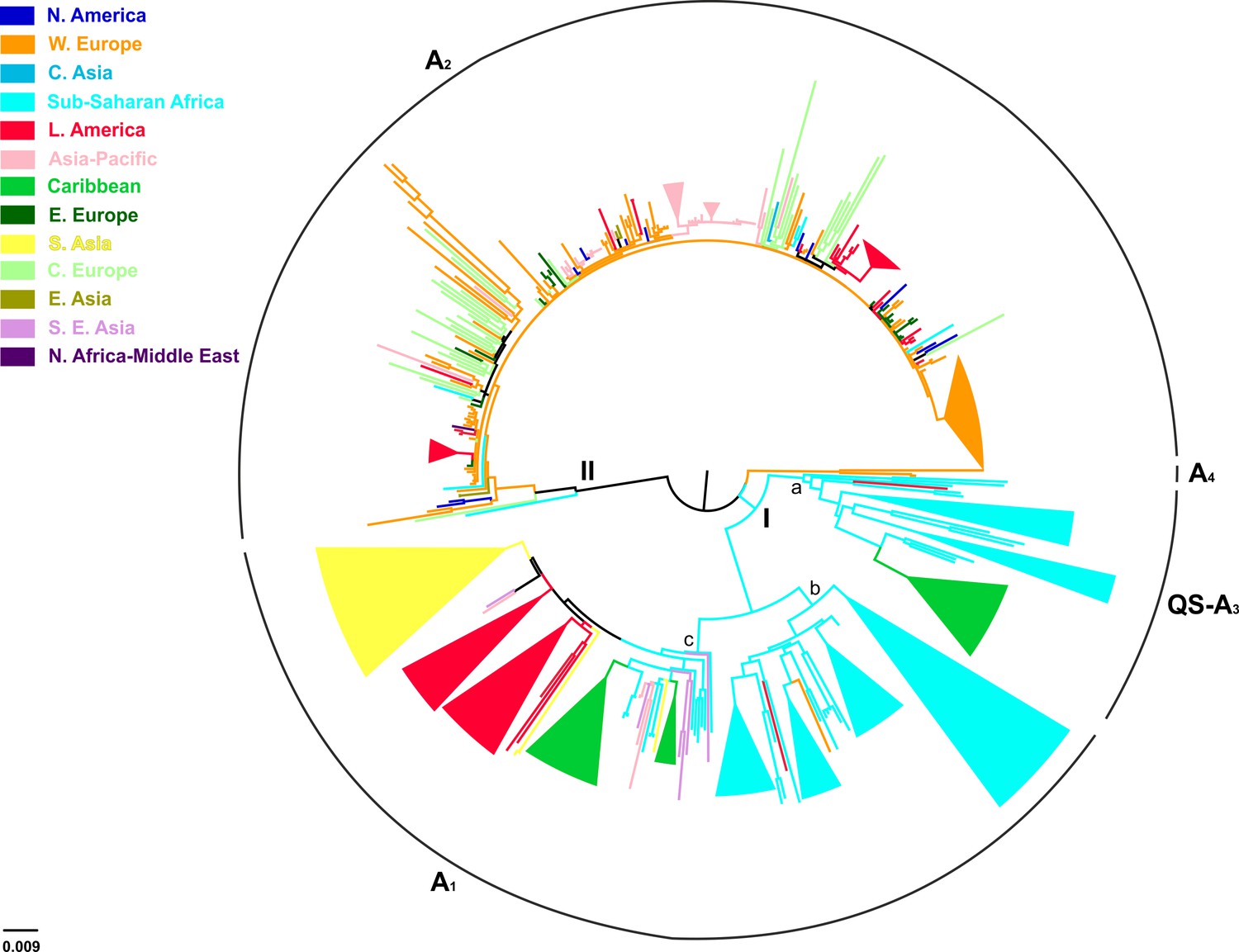 Unravelling The History Of Hepatitis B Virus Genotypes A And D ...