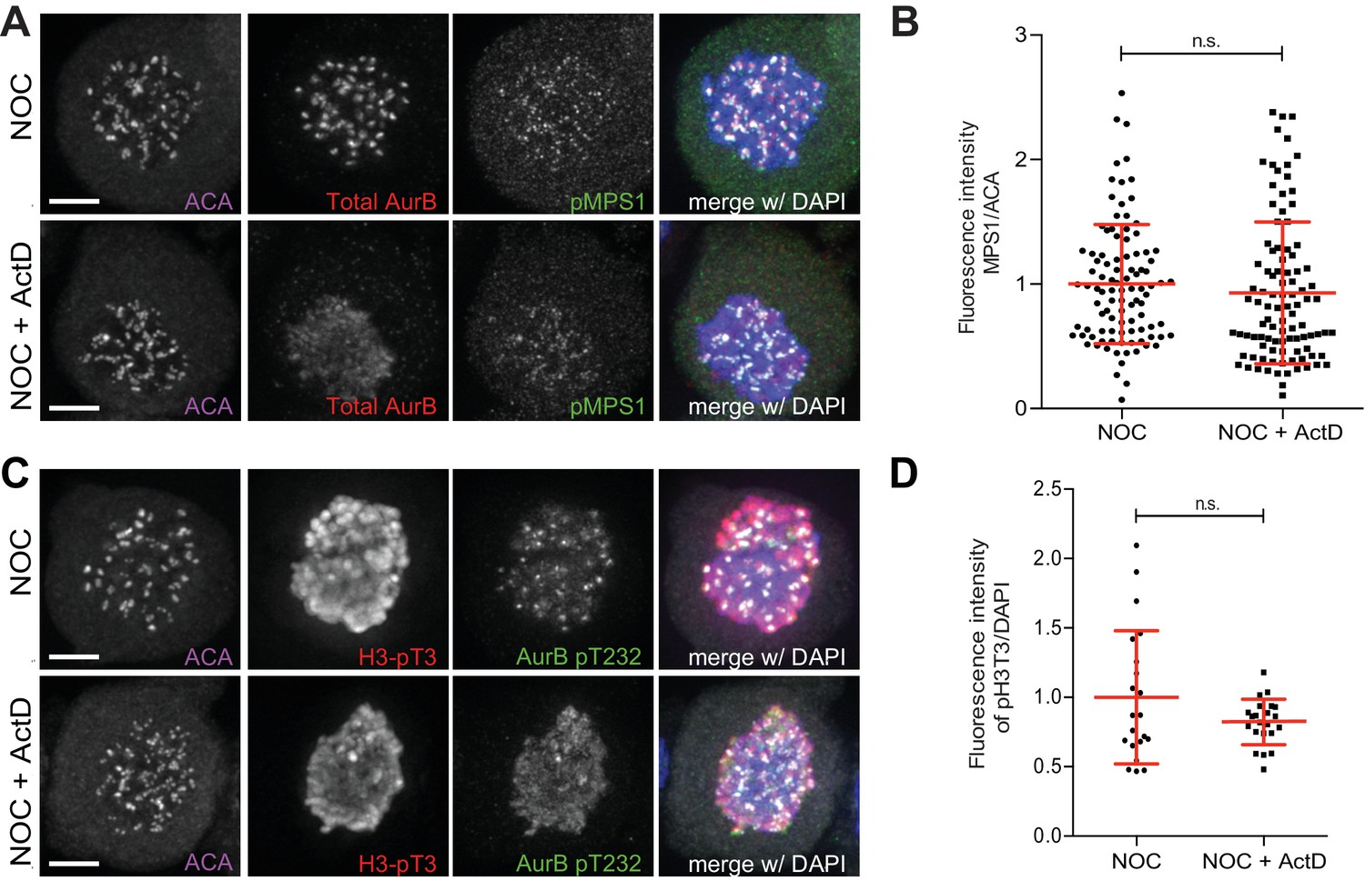 Figures and data in Mitotic progression arrest exit or death relies Biology Diagrams