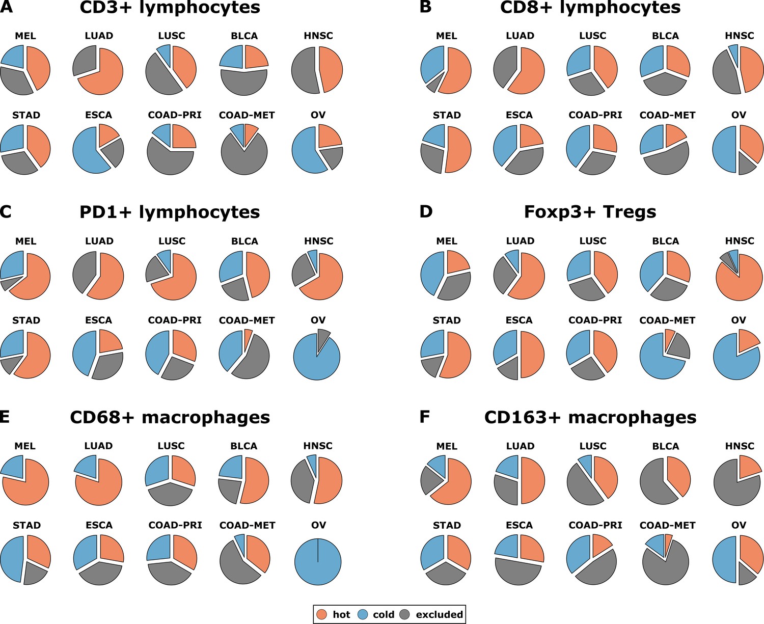 Topography Of Cancer Associated Immune Cells In Human Solid Tumors Elife