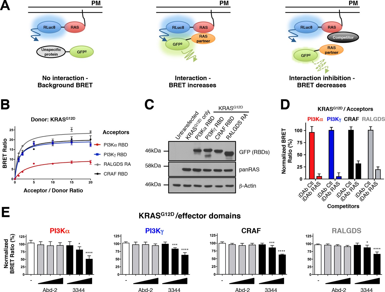 BRET-based RAS Biosensors That Show A Novel Small Molecule Is An ...