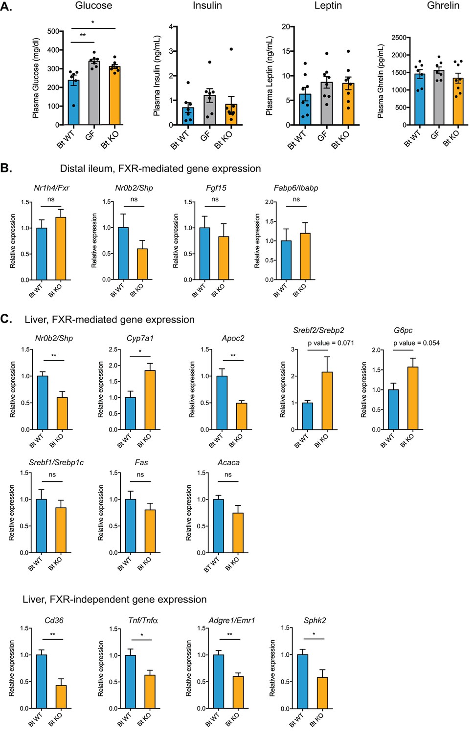 A Selective Gut Bacterial Bile Salt Hydrolase Alters Host Metabolism ...