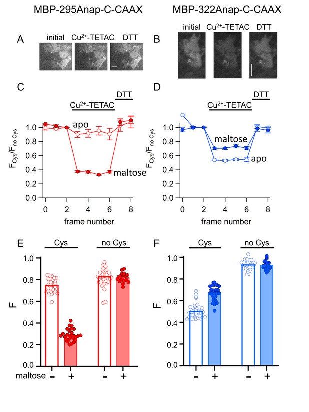 Figures And Data In Visualizing Conformational Dynamics Of Proteins In