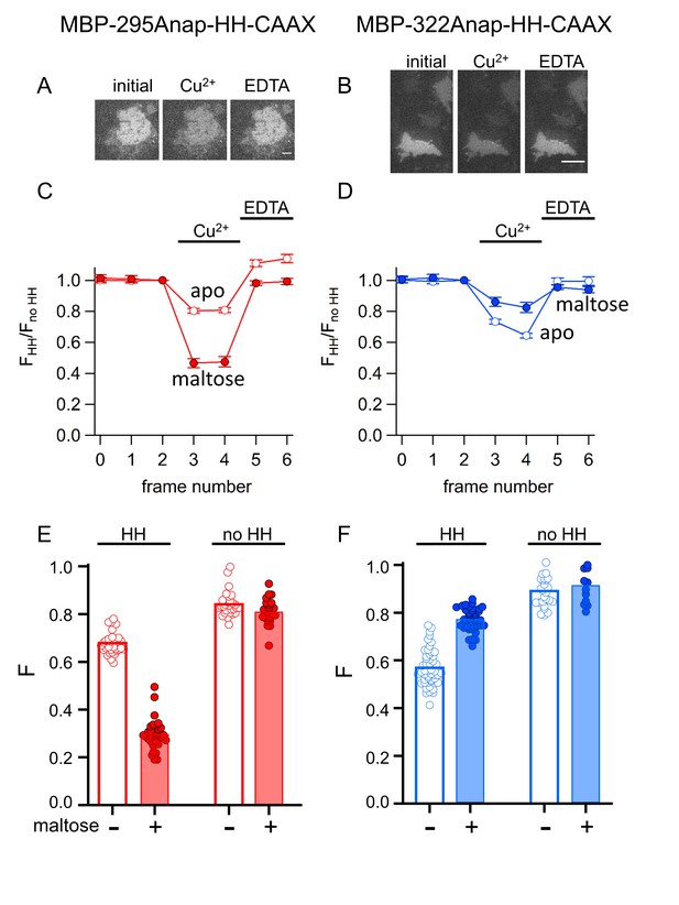 Visualizing Conformational Dynamics Of Proteins In Solution And At The ...