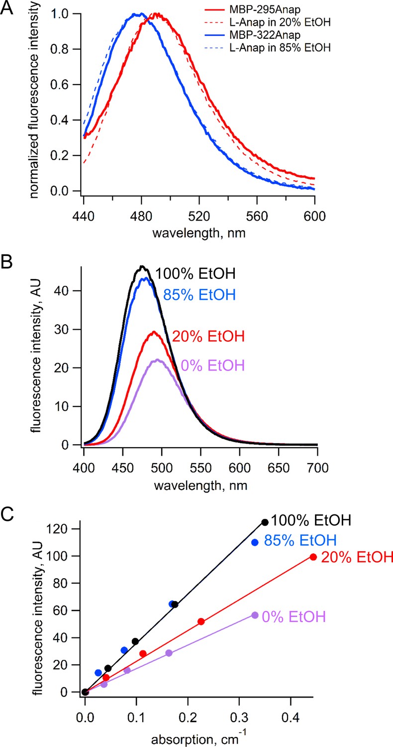 Figures And Data In Visualizing Conformational Dynamics Of Proteins In ...