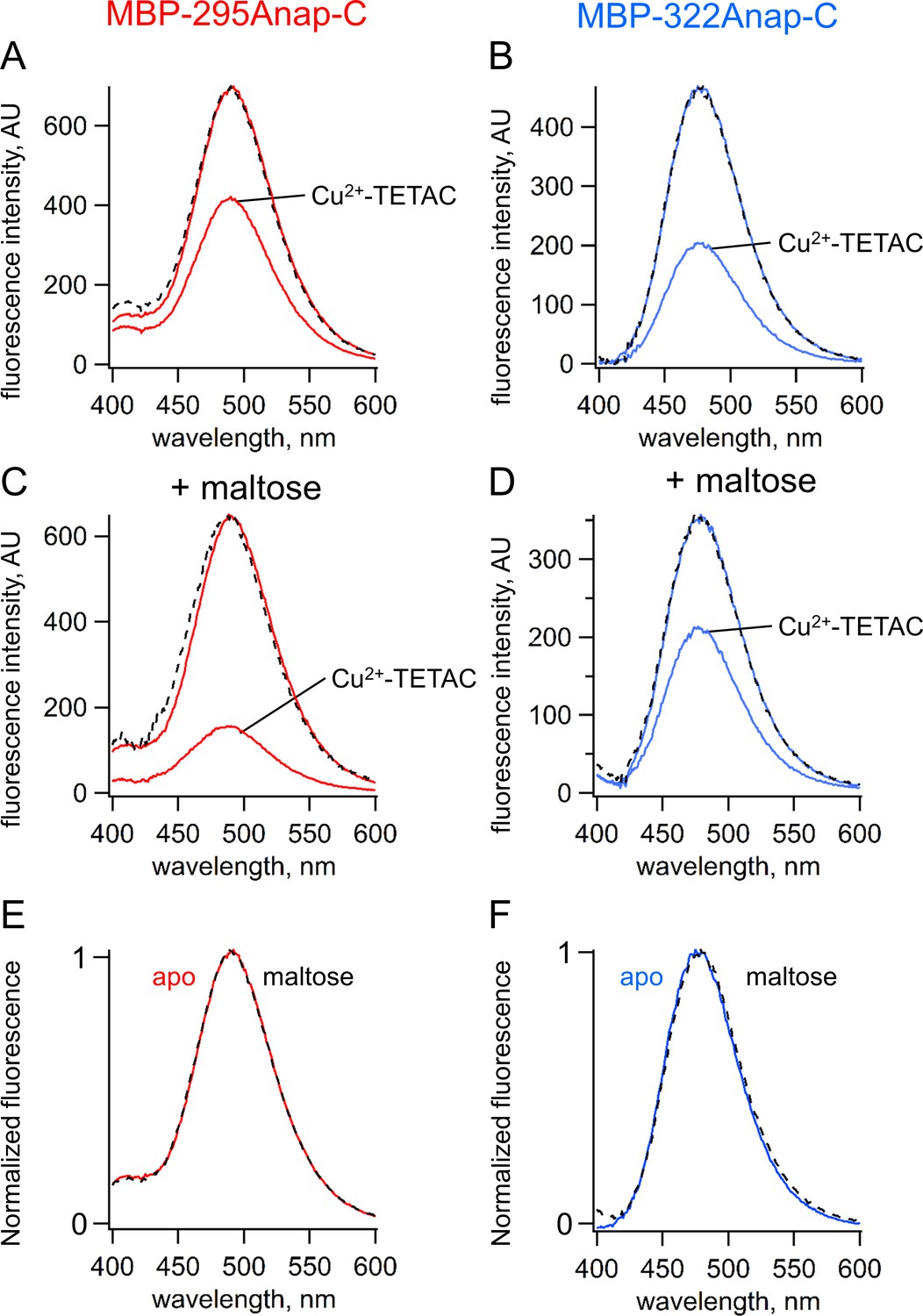 Visualizing Conformational Dynamics Of Proteins In Solution And At The ...