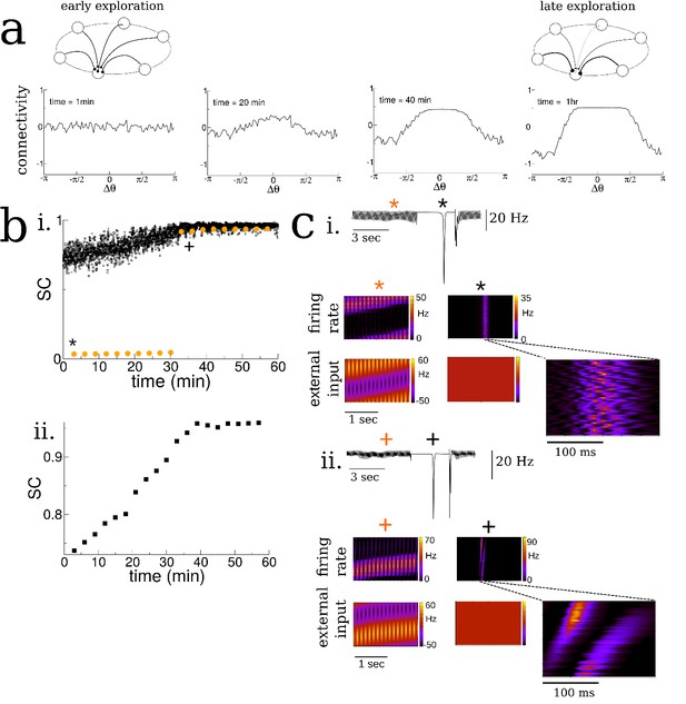 Theta-modulation drives the emergence of connectivity patterns ...