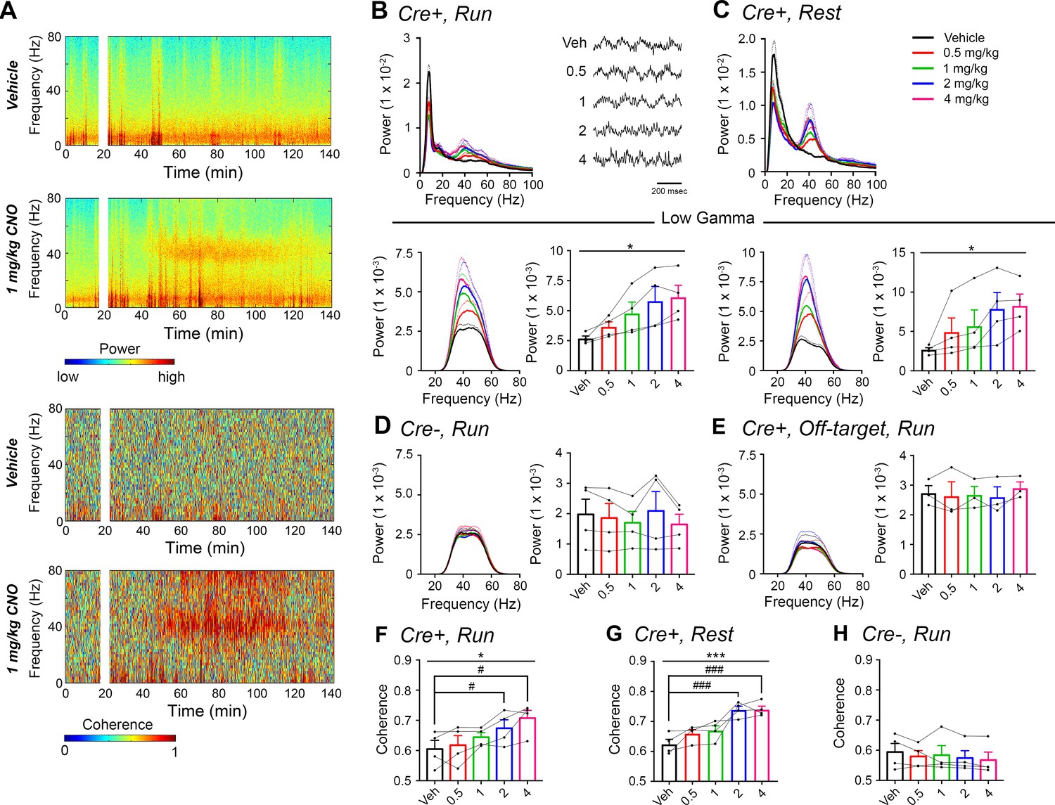 CA2 Neuronal Activity Controls Hippocampal Low Gamma And Ripple ...