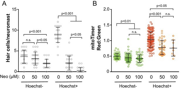 Cumulative mitochondrial activity correlates with ototoxin ...