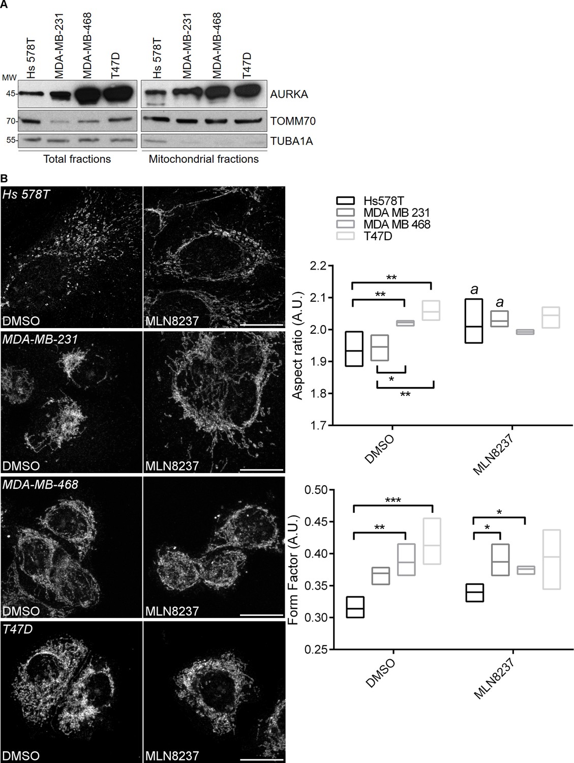 Figures and data in Aurora kinase A localises to mitochondria to ... Biology Diagrams