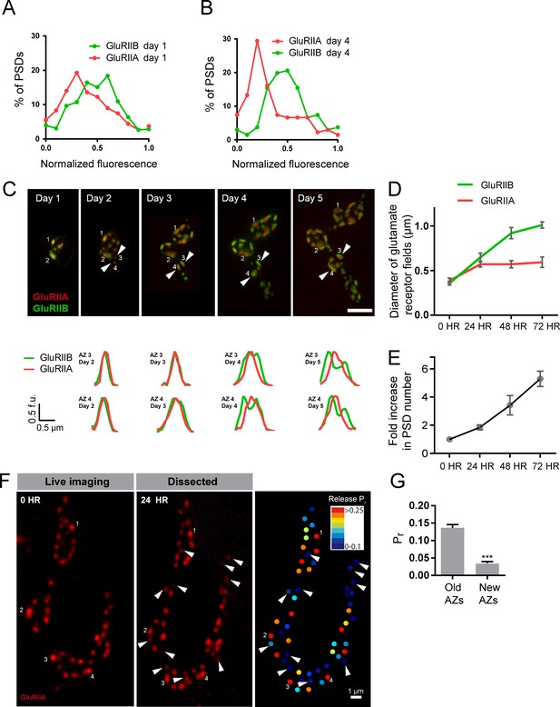 Figures And Data In Characterization Of Developmental And Molecular