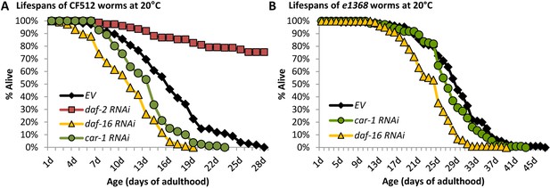 Figures and data in The insulin/IGF signaling cascade modulates ...