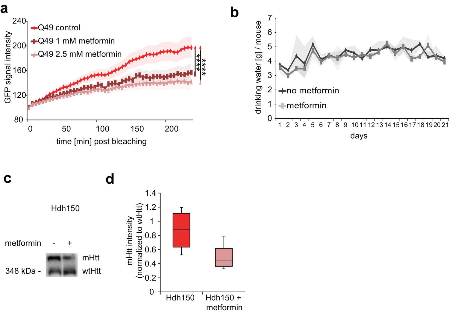 Metformin reverses early cortical network dysfunction and