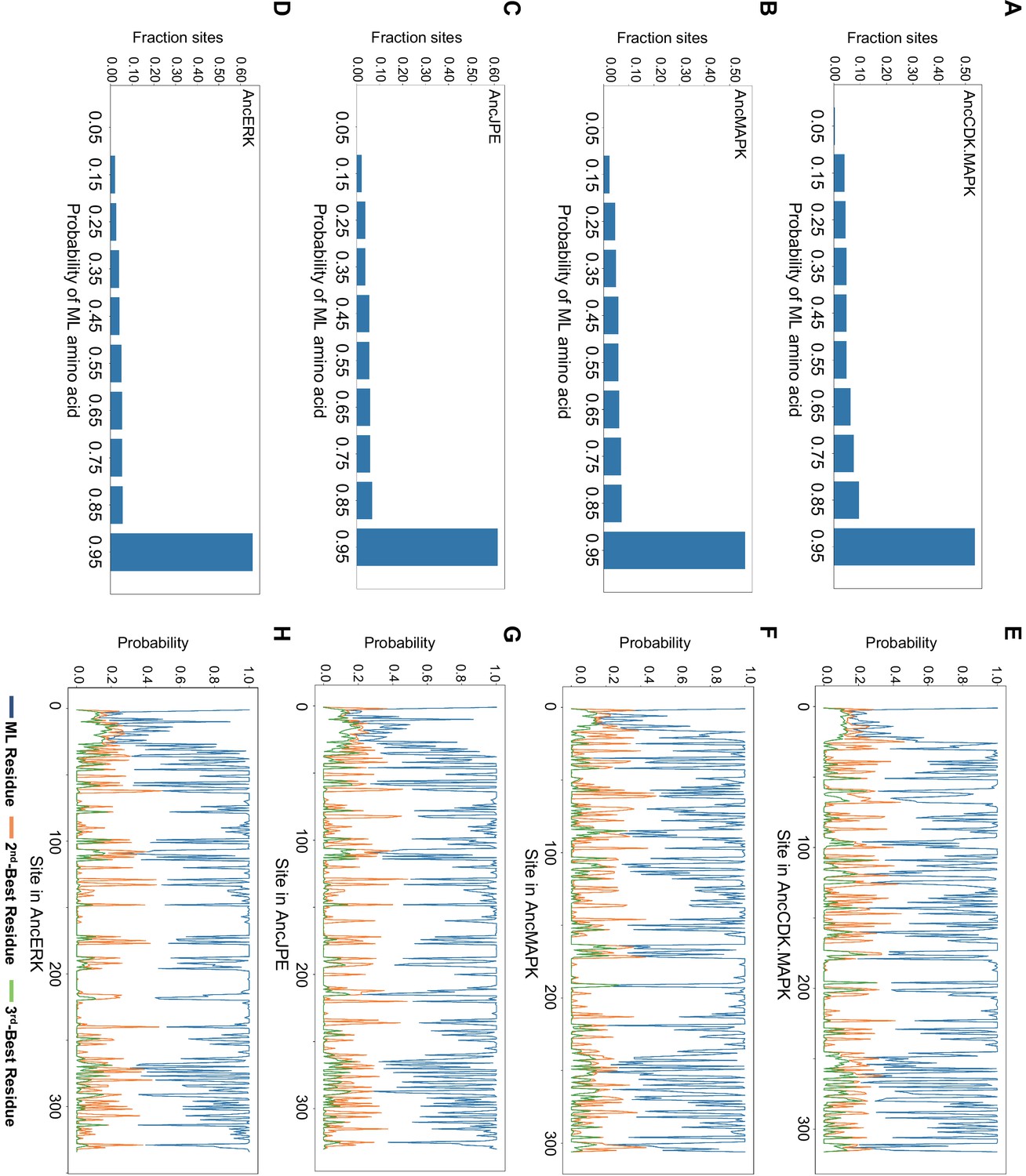 Figures and data in Ancestral reconstruction reveals mechanisms of ERK ...