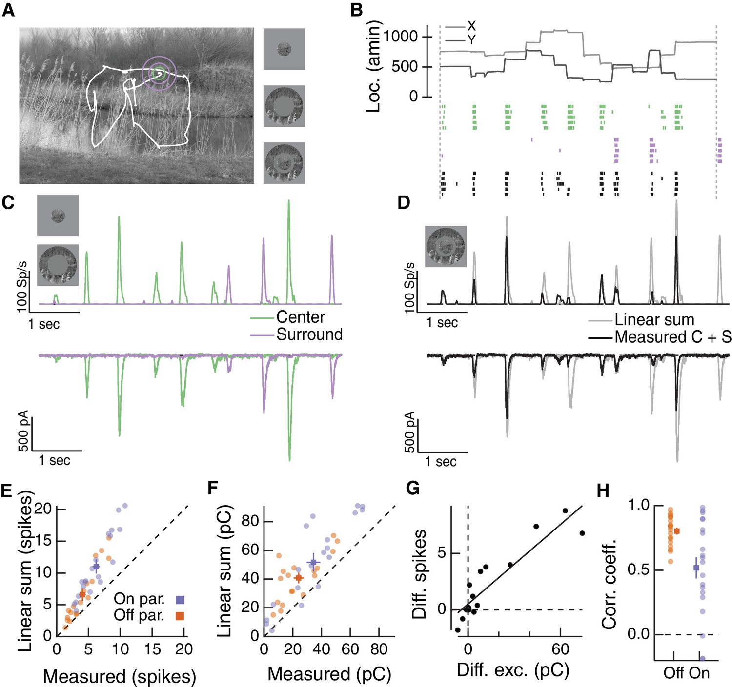 Receptive field center-surround interactions mediate context-dependent spatial contrast encoding in the retina